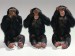 Opičky hrají(hlava,ramena,kolena,palce,uši,oči,pusa,nos).jpg